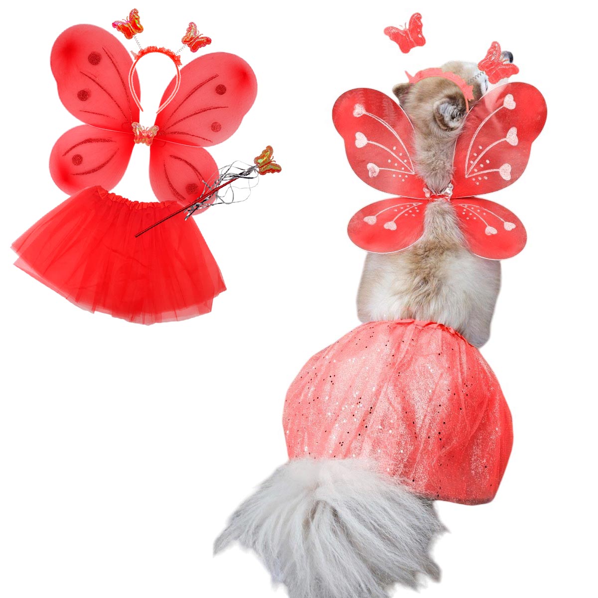 ¡Tu Mascota + Alas de Mariposa = ✨ La Estrella de TikTok ✨! Deslumbra este año 🦋