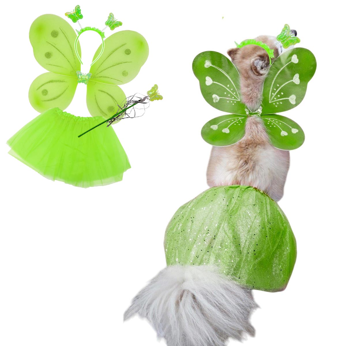 ¡Tu Mascota + Alas de Mariposa = ✨ La Estrella de TikTok ✨! Deslumbra este año 🦋