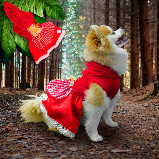 ✨ Convierte a tu mascota en el héroe de la casa con nuestros disfraces exclusivos 🐶🐱💖