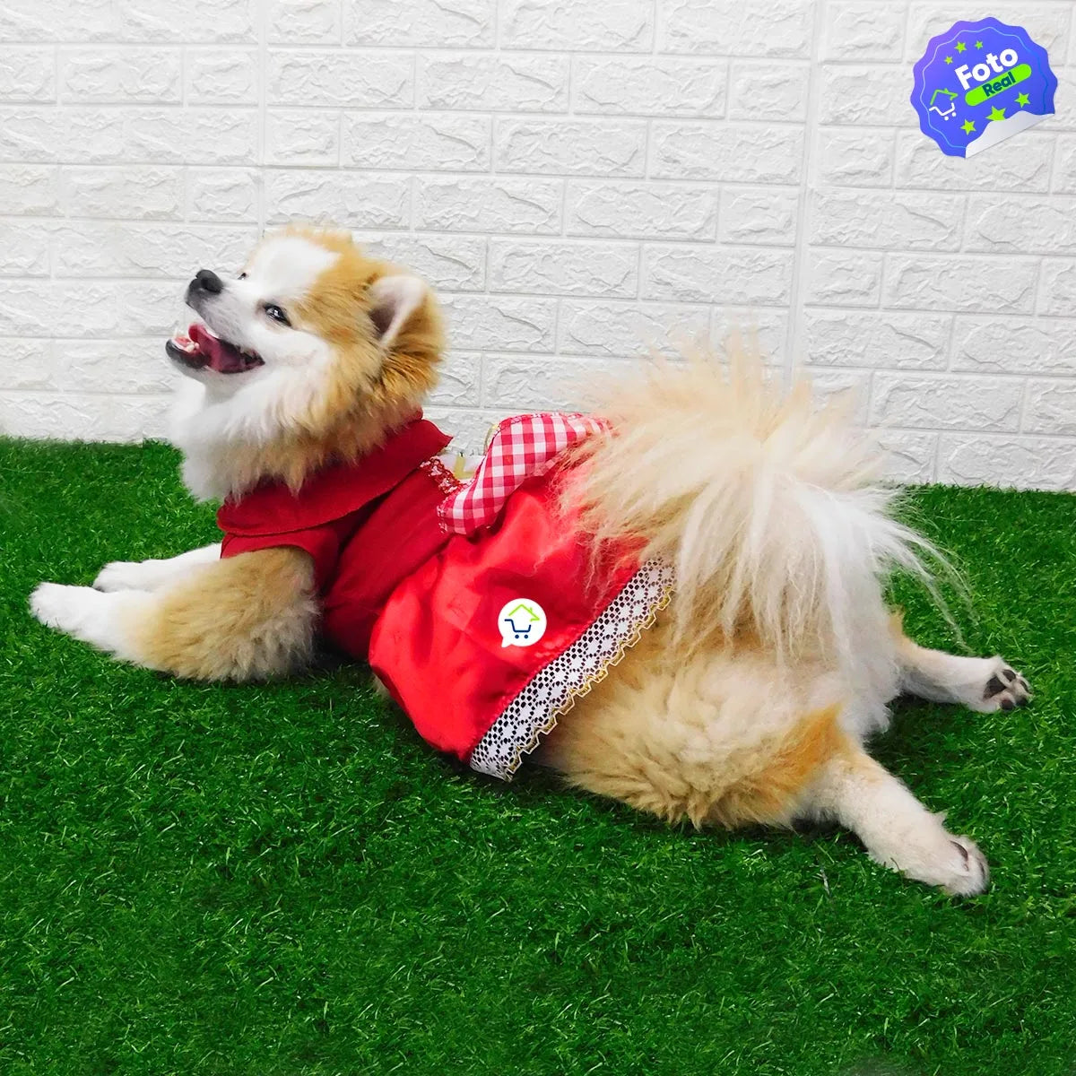 ✨ Convierte a tu mascota en el héroe de la casa con nuestros disfraces exclusivos 🐶🐱💖