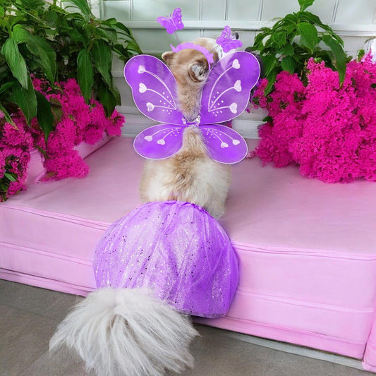 ¡Tu Mascota + Alas de Mariposa = ✨ La Estrella de TikTok ✨! Deslumbra este año 🦋