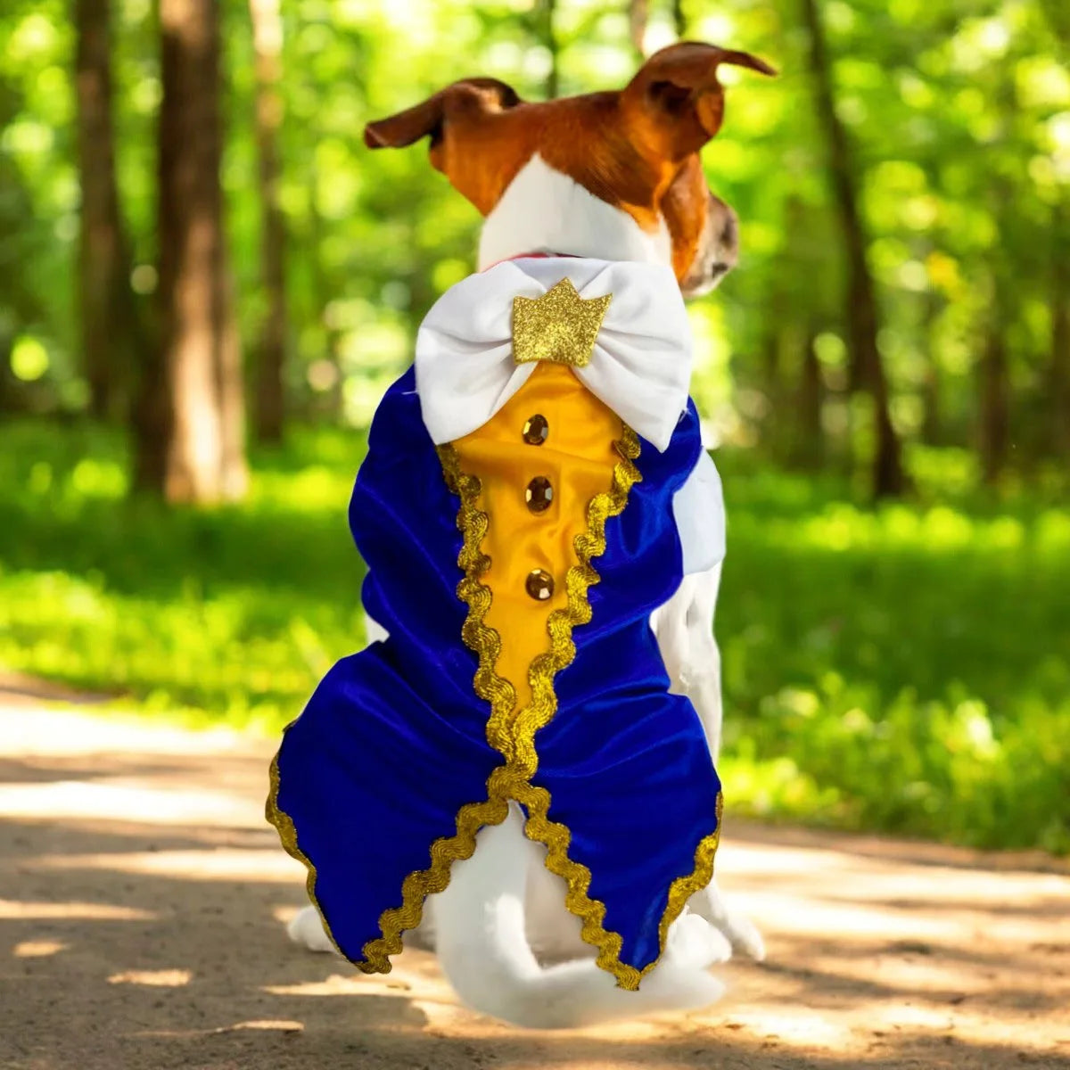 ✨ Convierte a tu mascota en el héroe de la casa con nuestros disfraces exclusivos 🐶🐱💖